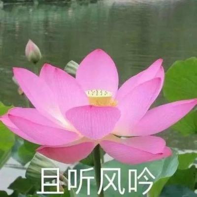 【图集】北京丰台区提升部分区域管控措施